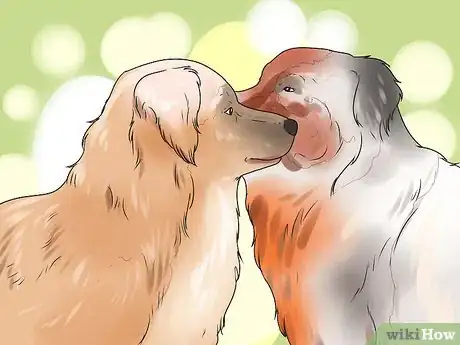 Imagen titulada Get Dogs to Mate Step 20