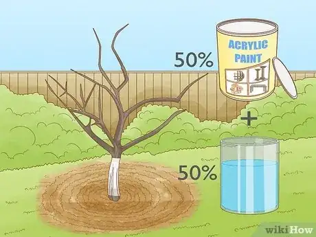 Imagen titulada Prune Citrus Trees Step 15