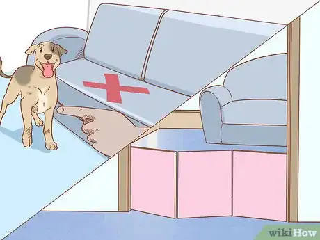 Imagen titulada Care for Dogs Step 14