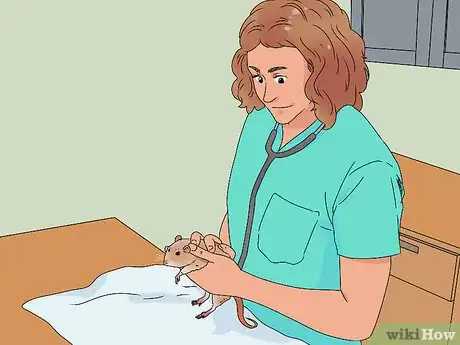 Imagen titulada Take Care of a Paralyzed Rat Step 13