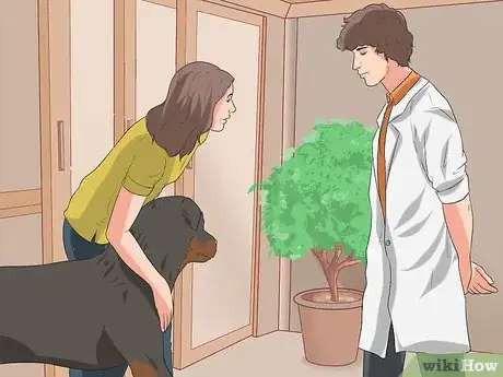 Imagen titulada Diagnose Dysplasia in Rottweilers Step 5