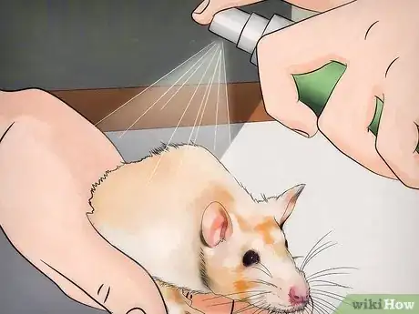 Imagen titulada Get Rid of Fleas on Rats Step 7