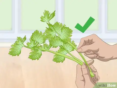 Imagen titulada Check if Vegetables Are Spoiled Step 7