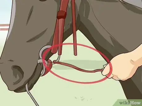 Imagen titulada Break a Horse Step 13