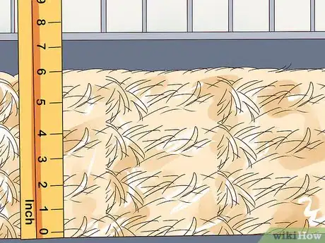 Imagen titulada Care for a Hamster Step 10