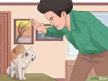 Imagen titulada Get Your Cat to Stop Hissing Step 11
