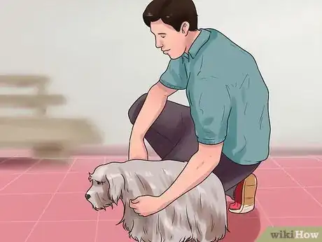 Imagen titulada Get Dogs to Mate Step 21