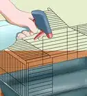 cuidar un conejo con gripe