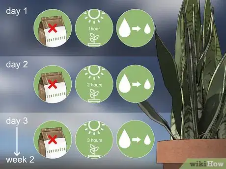 Imagen titulada Transplant a Plant Step 11
