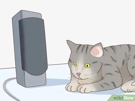 Imagen titulada Tell if Your Cat Is Depressed Step 12