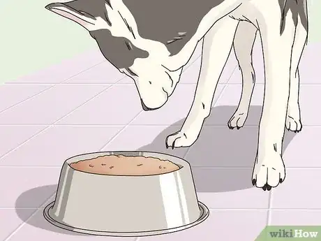 Imagen titulada Monitor the Stages of Labor in Dogs Step 4