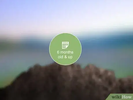 Imagen titulada Increase Nitrogen in Soil Step 15