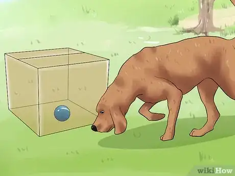 Imagen titulada Teach a Dog to Track Step 7