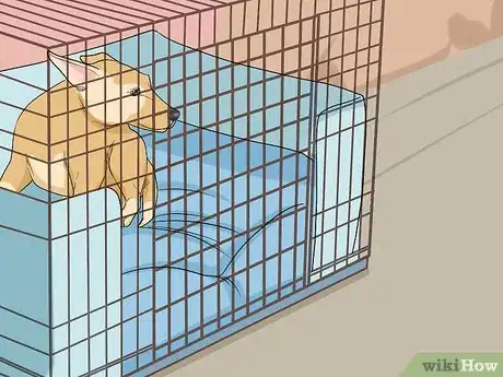 Imagen titulada Help Your Dog Recover from Surgery Step 19