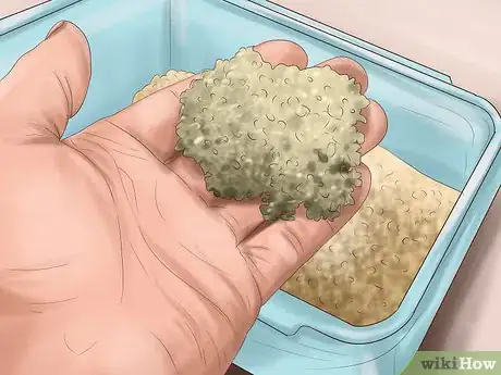 Imagen titulada Care for Your Ball Python Step 13