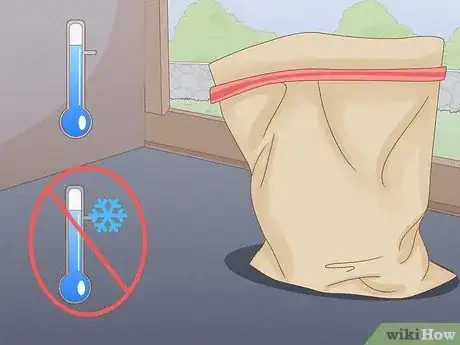 Imagen titulada Transplant Bulbs Step 8