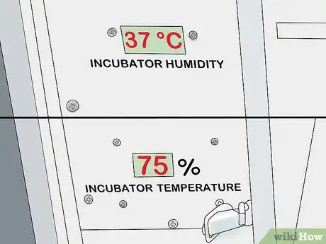 Imagen titulada Hatch Turkey Eggs in an Incubator Step 10
