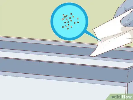 Imagen titulada Care for Triops Step 7