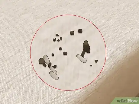 Imagen titulada Check for Bedbugs Step 4