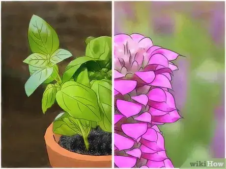 Imagen titulada Prevent Mosquitoes from Breeding Step 11