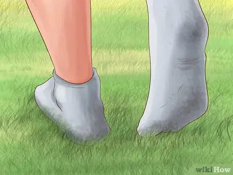 Imagen titulada Kill Fleas and Ticks on Cats Step 19