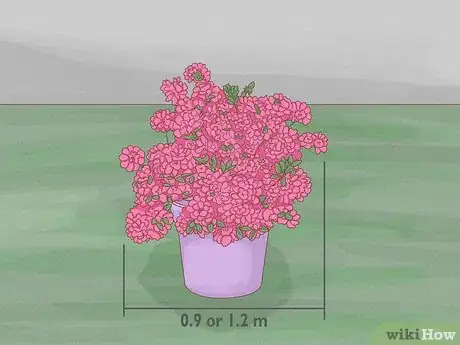 Imagen titulada Prune Azaleas Step 1