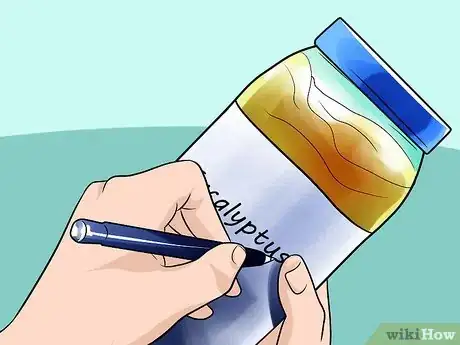 Imagen titulada Make Eucalyptus Oil Step 7