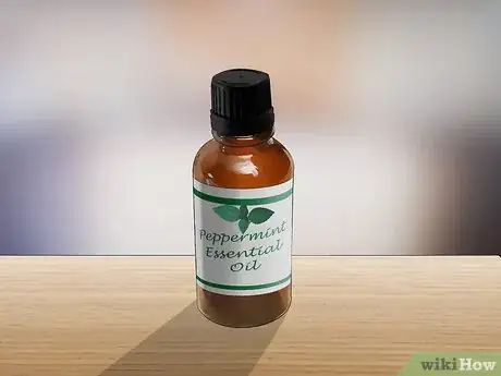 Imagen titulada Control Fleas by Using Peppermint Step 2