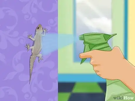 Imagen titulada Catch a Lizard in the House Step 9