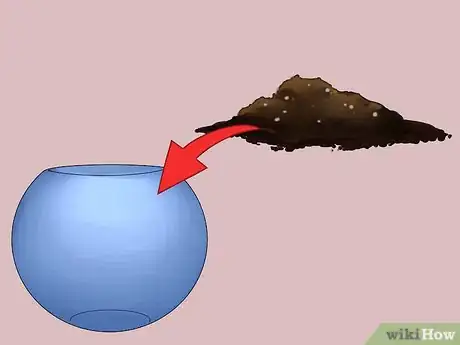 Imagen titulada Build a Self Sustaining Ecosystem Step 15