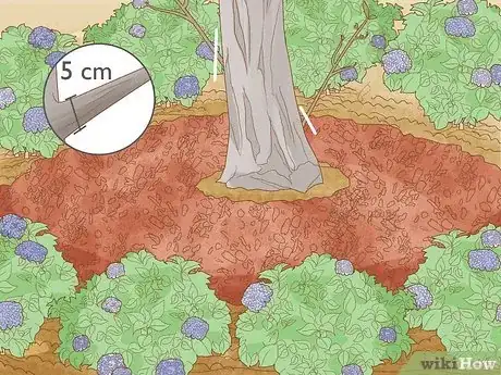 Imagen titulada Create Tree Flower Beds Step 15