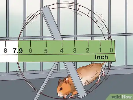 Imagen titulada Care for a Hamster Step 22
