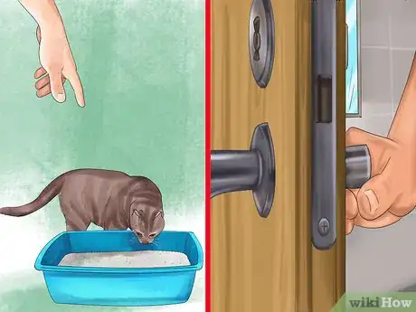 Imagen titulada Retrain a Cat to Use the Litter Box Step 15
