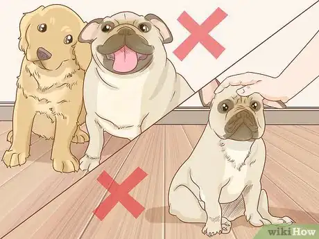Imagen titulada Get Rid of Ringworm in Dogs Step 9