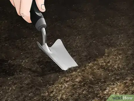 Imagen titulada Transplant a Plant Step 14
