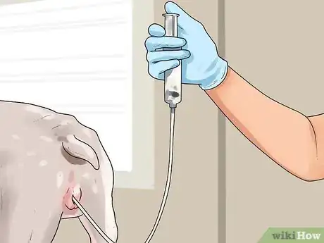 Imagen titulada Get Dogs to Mate Step 15