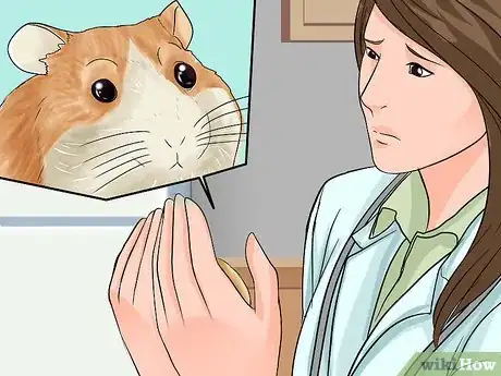 Imagen titulada Determine if Your Hamster Is Blind Step 7