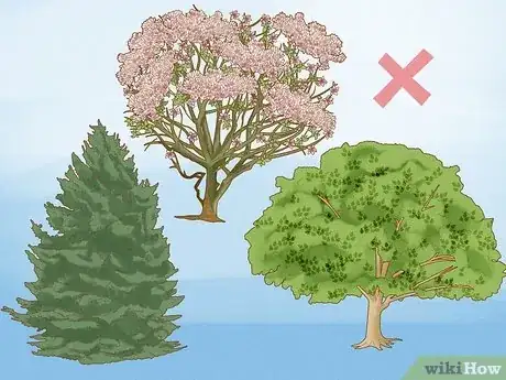 Imagen titulada Create Tree Flower Beds Step 16