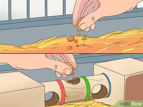 Imagen titulada Care for a Hamster Step 14