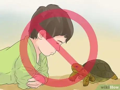 Imagen titulada Take Care of a Land Turtle Step 22