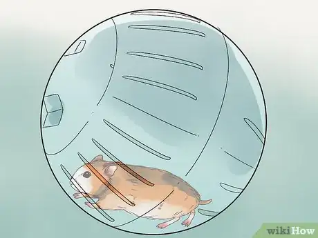 Imagen titulada Care for a Hamster Step 25