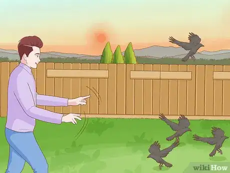 Imagen titulada Get Rid of Crows Step 11