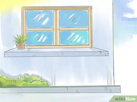 Imagen titulada Plant Pansies in Containers and Pots Step 6
