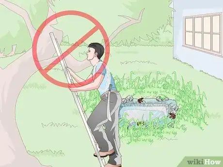 Imagen titulada Attract Frogs Step 19