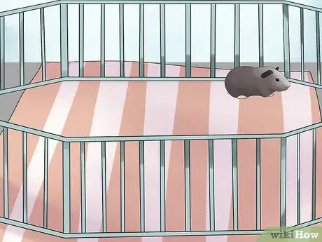 Imagen titulada Avoid Poisoning Your Guinea Pig Step 3