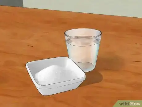 Imagen titulada Get a Bee out of the House Step 10