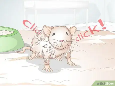Imagen titulada Know if a Gerbil Is Ill Step 10