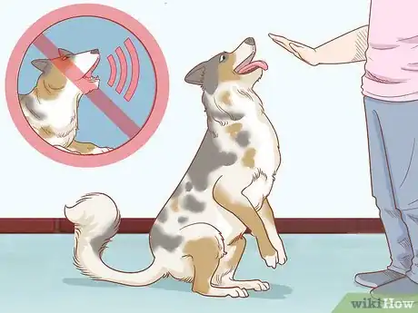 Imagen titulada Care for Dogs Step 17