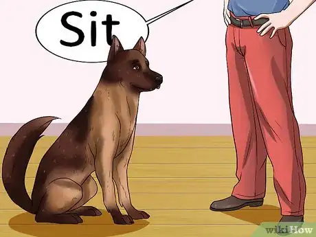Imagen titulada Teach a Dog to Track Step 4