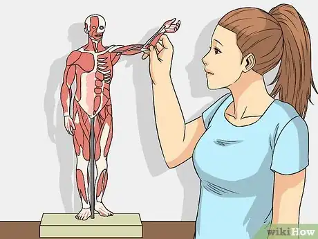 Imagen titulada Study Muscle Anatomy Step 12